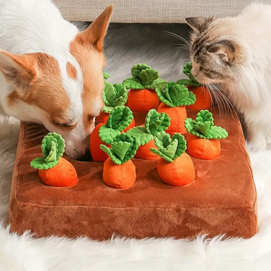 Carrot Toy used by cat and dog