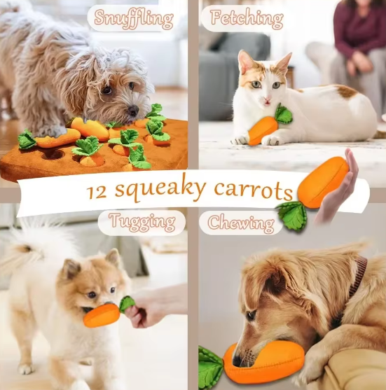 Carrot Toy Use Scenarios