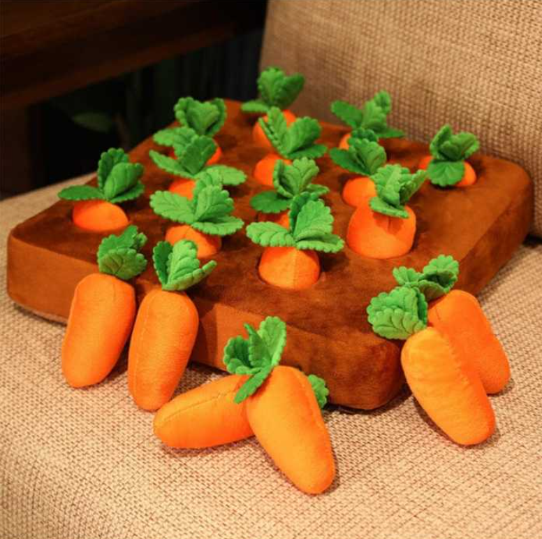 Carrot Toy