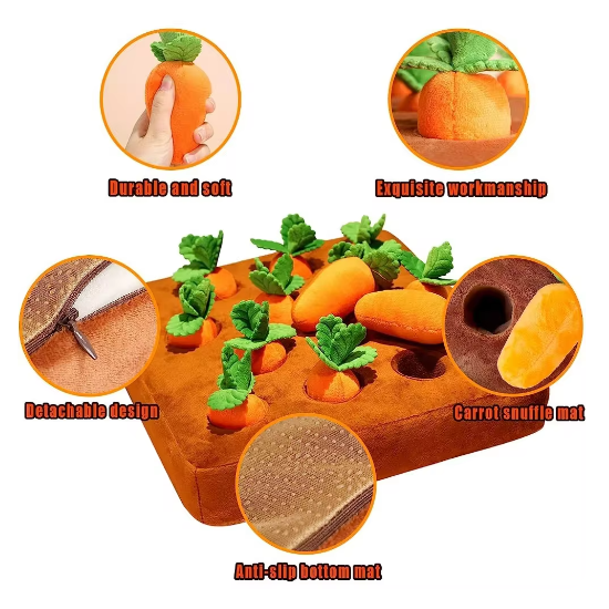 Carrot Toy Features